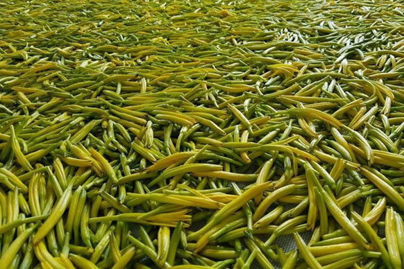 無硫金針菜烘干如何保持品相？不發黑？_除濕機廠家