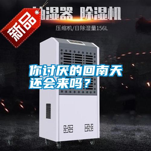 你討厭的回南天還會來嗎？