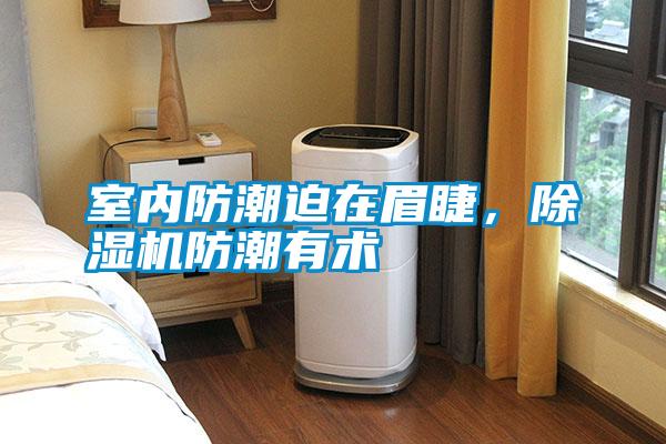 室內(nèi)防潮迫在眉睫，除濕機(jī)防潮有術(shù)