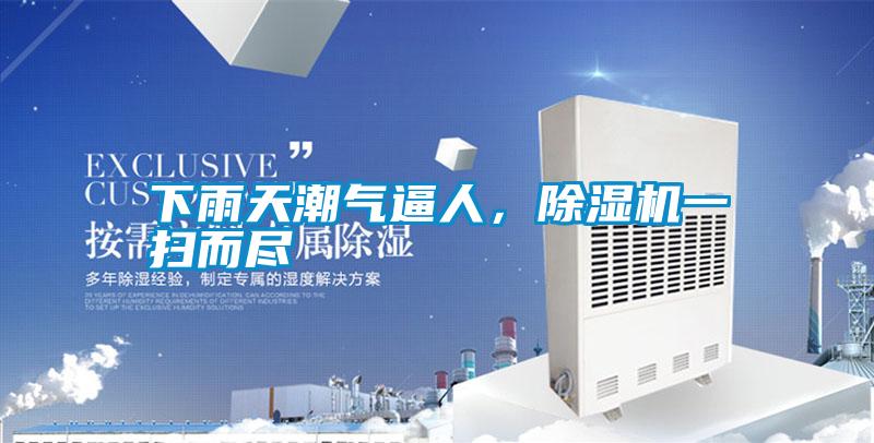 下雨天潮氣逼人，除濕機一掃而盡