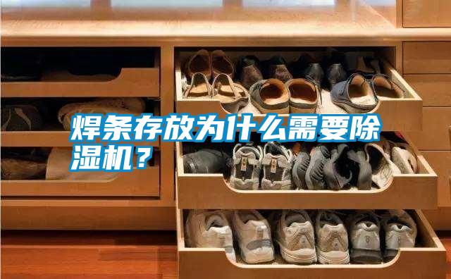 焊條存放為什么需要除濕機(jī)？