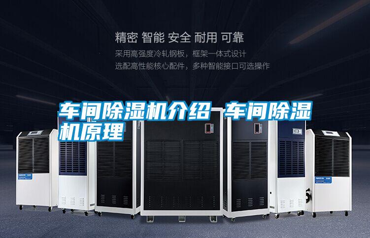 車間除濕機(jī)介紹 車間除濕機(jī)原理