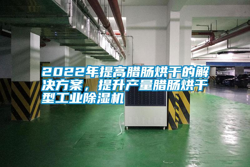 2022年提高臘腸烘干的解決方案，提升產量臘腸烘干型工業除濕機