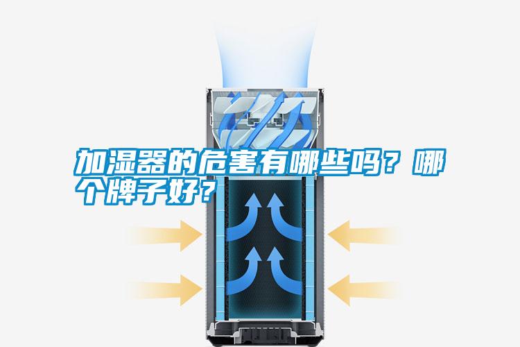 加濕器的危害有哪些嗎？哪個牌子好？