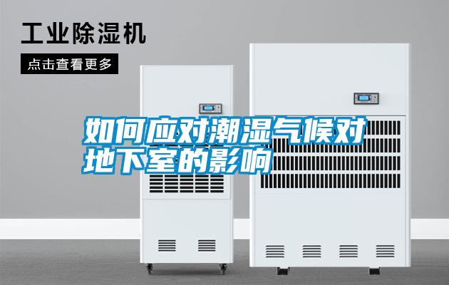 如何應對潮濕氣候對地下室的影響