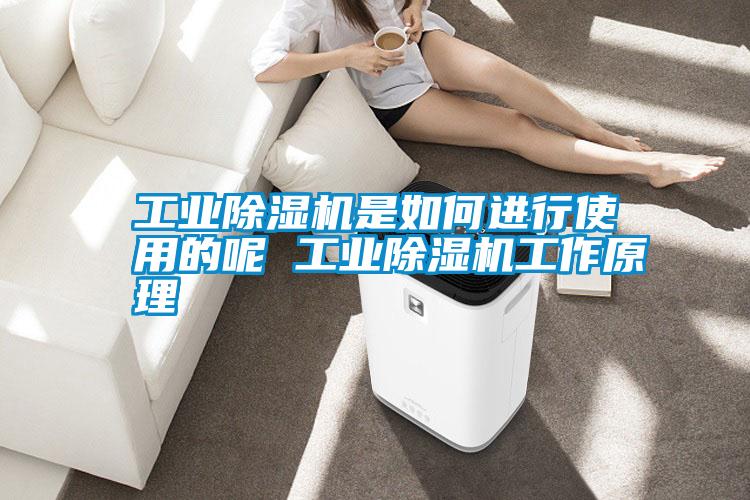 工業除濕機是如何進行使用的呢 工業除濕機工作原理