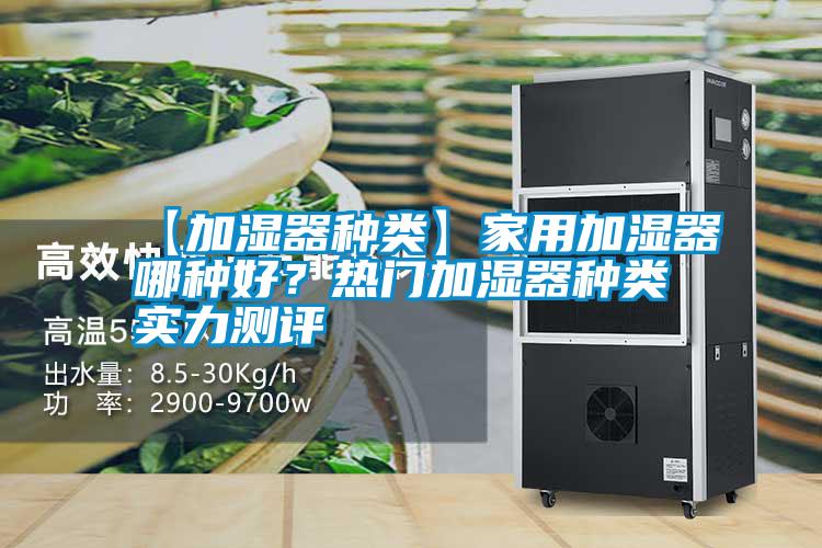 【加濕器種類】家用加濕器哪種好？熱門加濕器種類實力測評