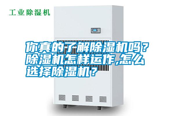 你真的了解除濕機嗎？除濕機怎樣運作,怎么選擇除濕機？