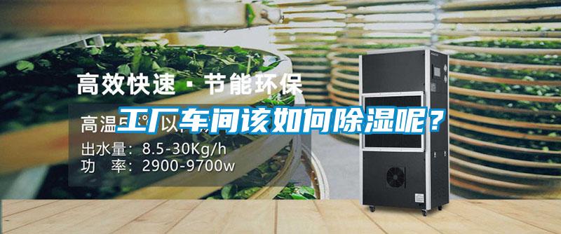 工廠車間該如何除濕呢？