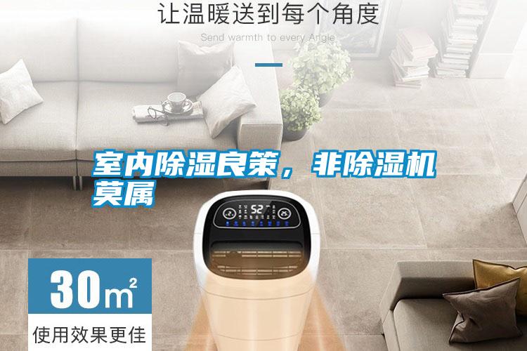 室內(nèi)除濕良策，非除濕機(jī)莫屬
