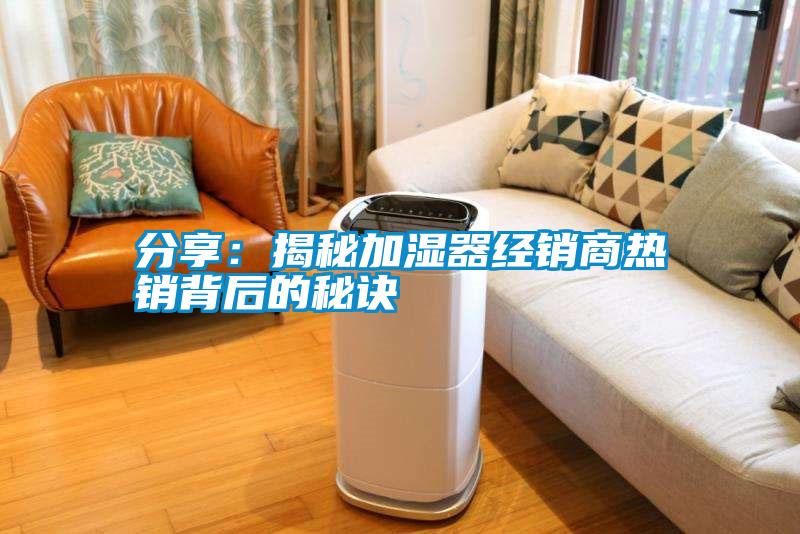 分享:揭秘加濕器經銷商熱銷背后的秘訣