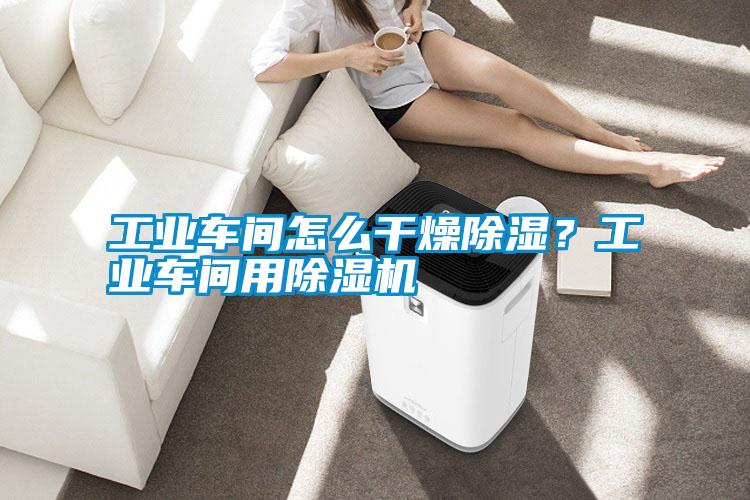 工業(yè)車間怎么干燥除濕？工業(yè)車間用除濕機(jī)
