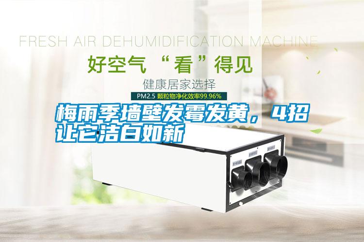 梅雨季墻壁發霉發黃,4招讓它潔白如新