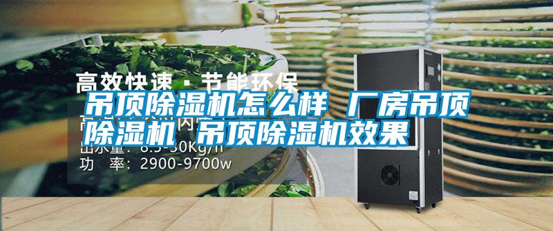 吊頂除濕機(jī)怎么樣 廠房吊頂除濕機(jī) 吊頂除濕機(jī)效果