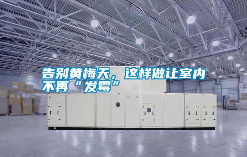 告別黃梅天，這樣做讓室內(nèi)不再“發(fā)霉”
