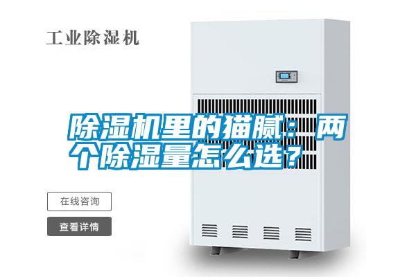 除濕機里的貓膩:兩個除濕量怎么選?