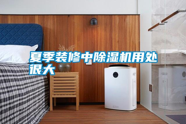 夏季裝修中除濕機(jī)用處很大