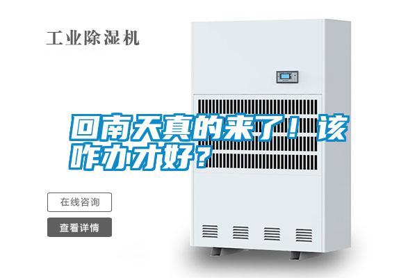 回南天真的來(lái)了！該咋辦才好？