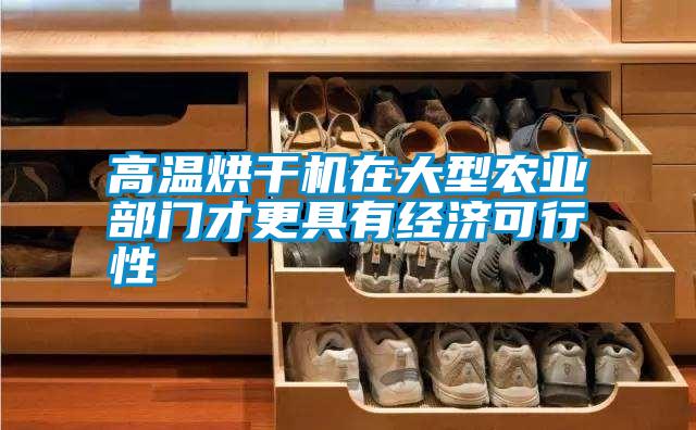 高溫烘干機(jī)在大型農(nóng)業(yè)部門才更具有經(jīng)濟(jì)可行性