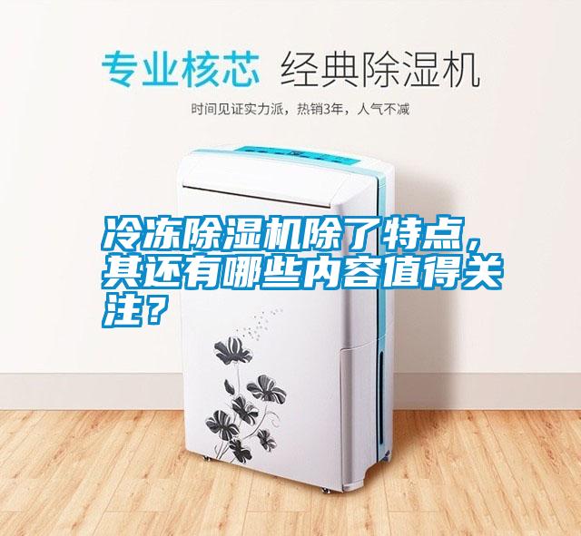 冷凍除濕機除了特點,其還有哪些內容值得關注?
