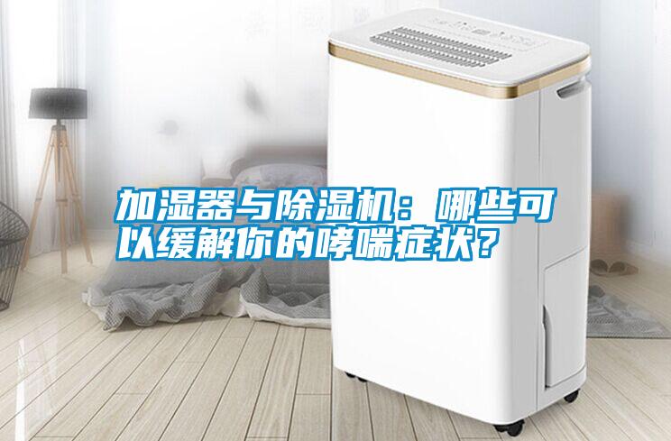 加濕器與除濕機：哪些可以緩解你的哮喘癥狀？