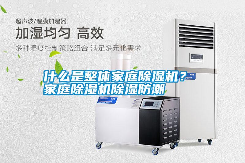 什么是整體家庭除濕機？ 家庭除濕機除濕防潮