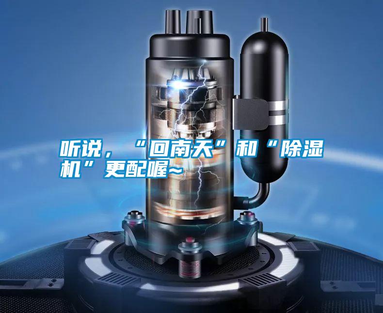聽說,“回南天”和“除濕機(jī)”更配喔~