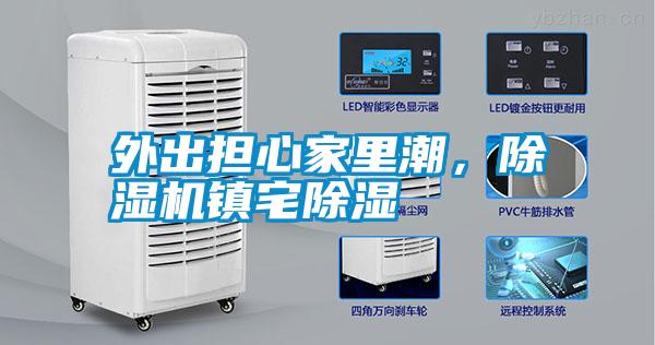 外出擔心家里潮，除濕機鎮宅除濕