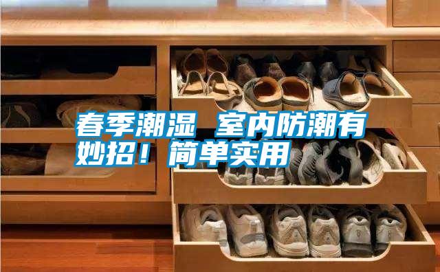春季潮濕 室內防潮有妙招!簡單實用
