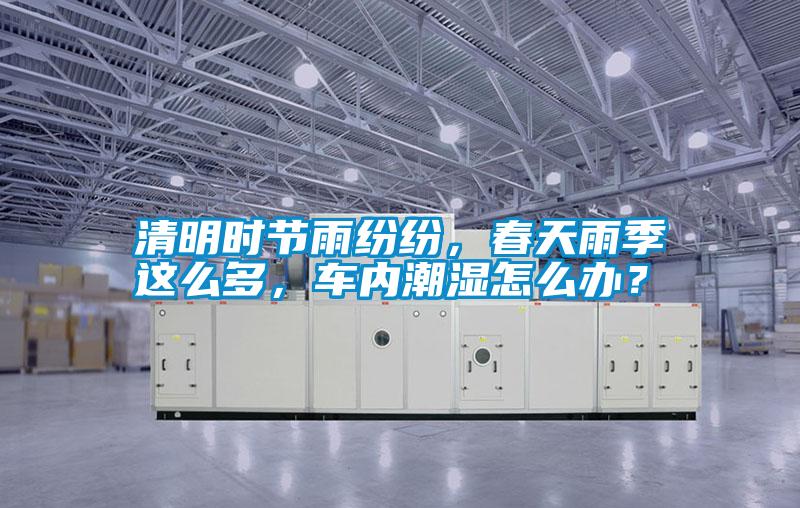 清明時節雨紛紛，春天雨季這么多，車內潮濕怎么辦？