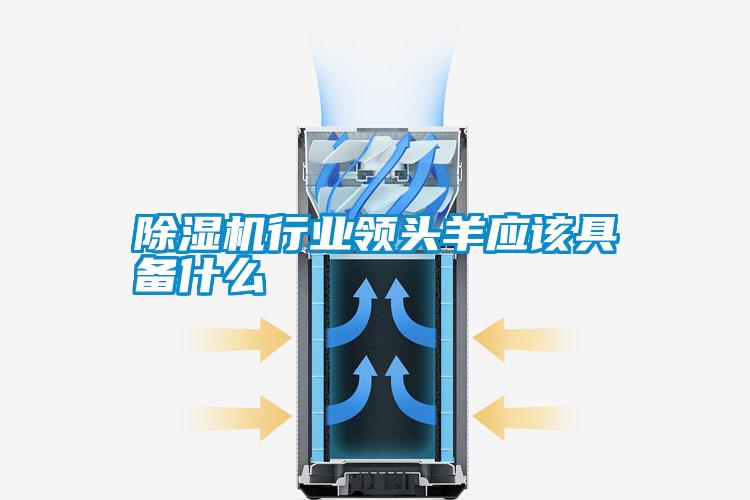 除濕機行業領頭羊應該具備什么
