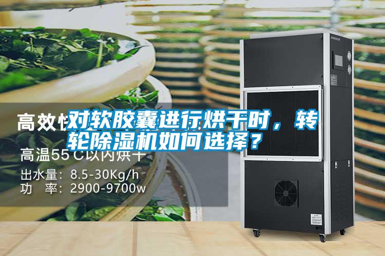 對軟膠囊進行烘干時,轉輪除濕機如何選擇?