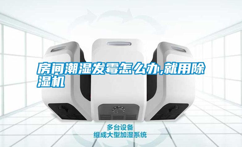 房間潮濕發(fā)霉怎么辦,就用除濕機(jī)