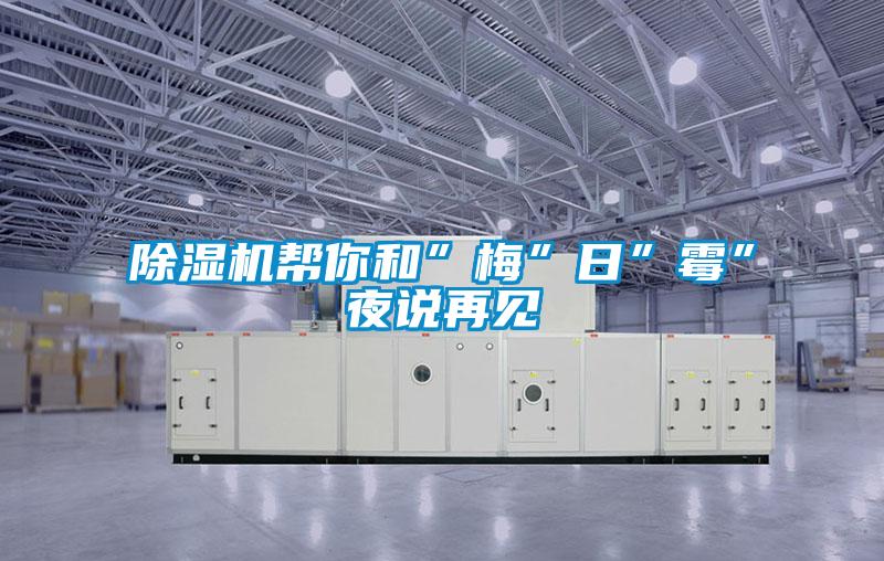 除濕機幫你和”梅”日”霉”夜說再見