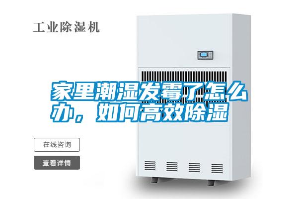 家里潮濕發(fā)霉了怎么辦，如何高效除濕