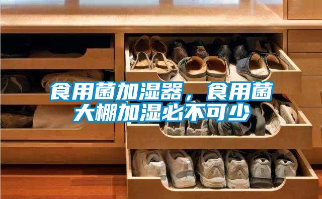 食用菌加濕器，食用菌大棚加濕必不可少