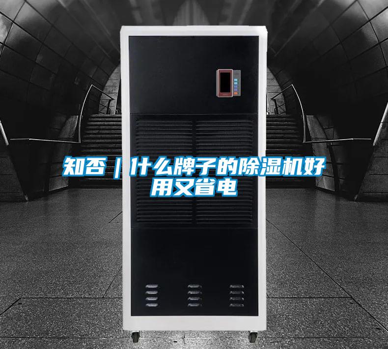 知否｜什么牌子的除濕機好用又省電