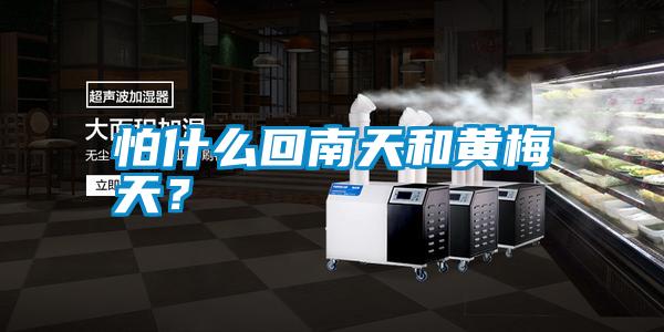 怕什么回南天和黃梅天？