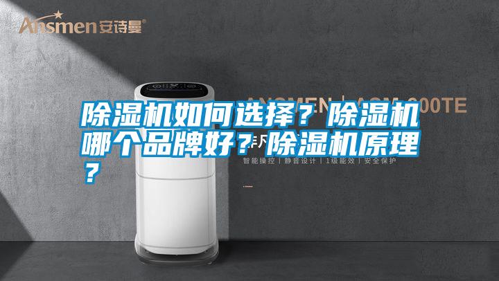 除濕機(jī)如何選擇?除濕機(jī)哪個(gè)品牌好?除濕機(jī)原理?