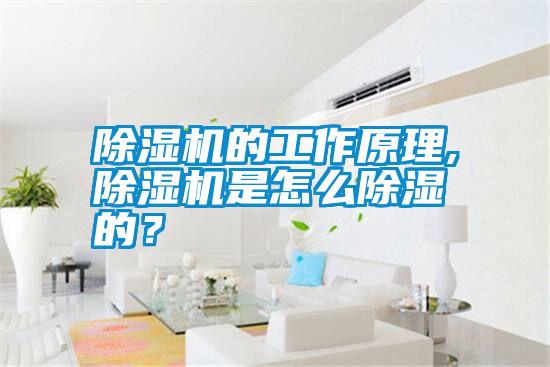 除濕機的工作原理,除濕機是怎么除濕的？