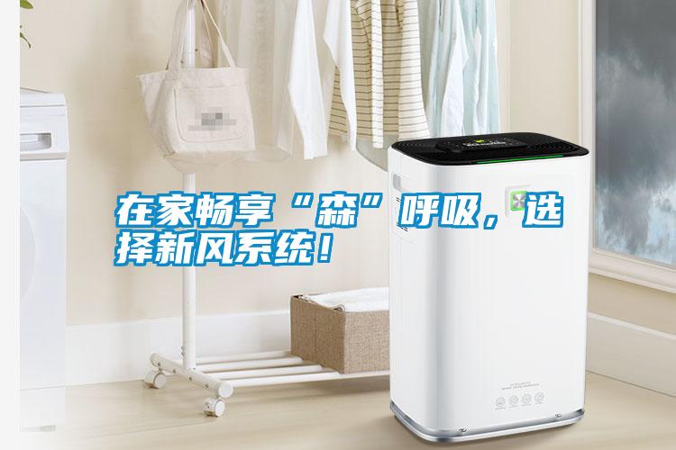 在家暢享“森”呼吸，選擇新風系統！