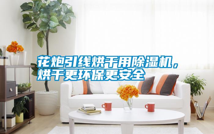花炮引線烘干用除濕機，烘干更環保更安全