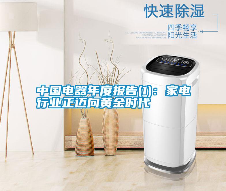 中國(guó)電器年度報(bào)告(1):家電行業(yè)正邁向黃金時(shí)代