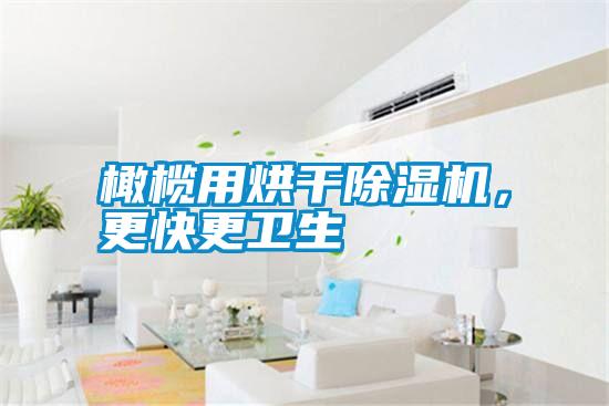 橄欖用烘干除濕機，更快更衛生