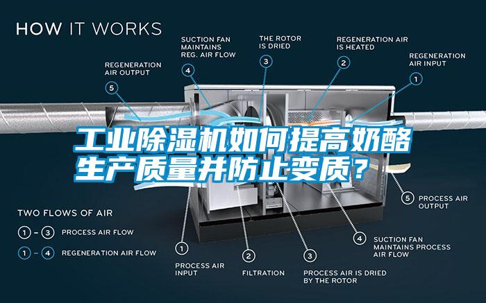工業除濕機如何提高奶酪生產質量并防止變質?