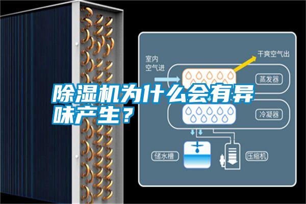 除濕機為什么會有異味產生？