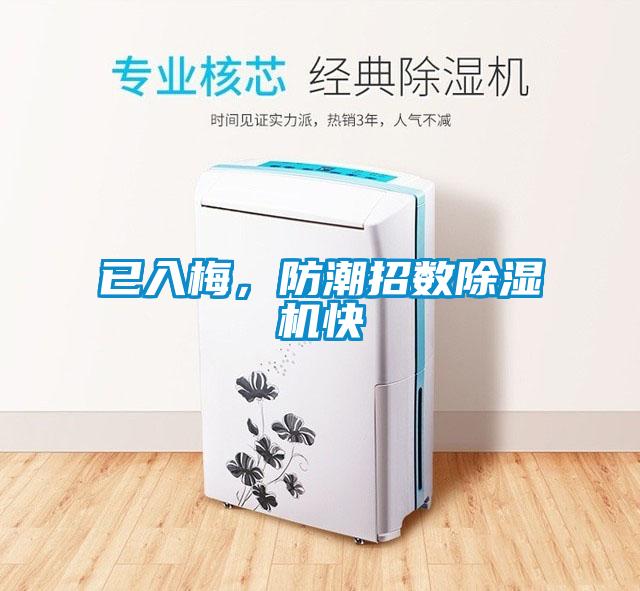 已入梅，防潮招數(shù)除濕機(jī)快