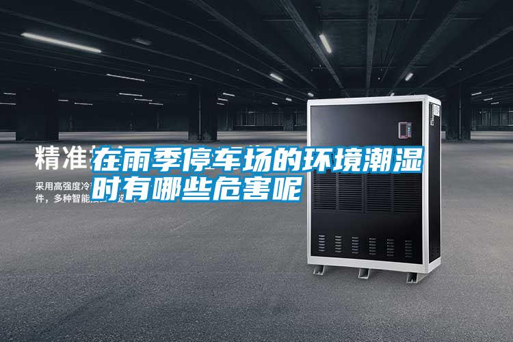 在雨季停車場(chǎng)的環(huán)境潮濕時(shí)有哪些危害呢