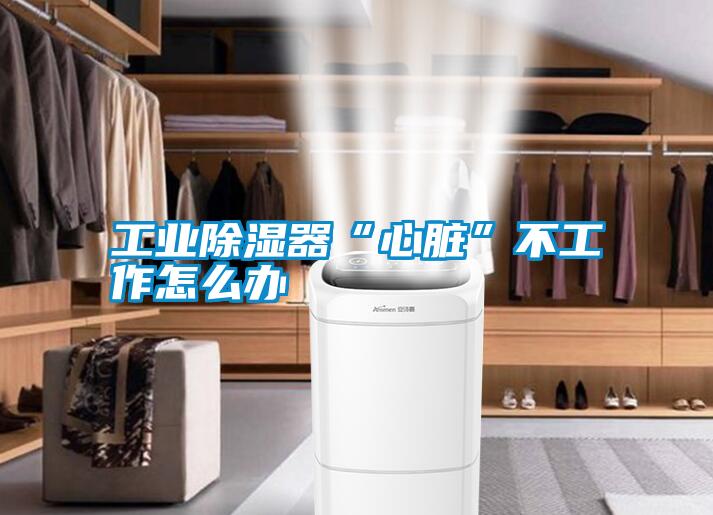 工業除濕器“心臟”不工作怎么辦