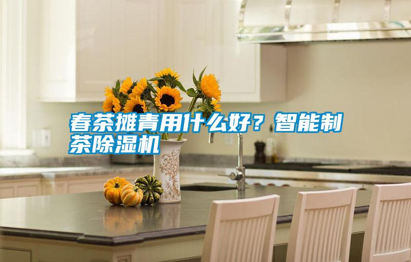 春茶攤青用什么好?智能制茶除濕機